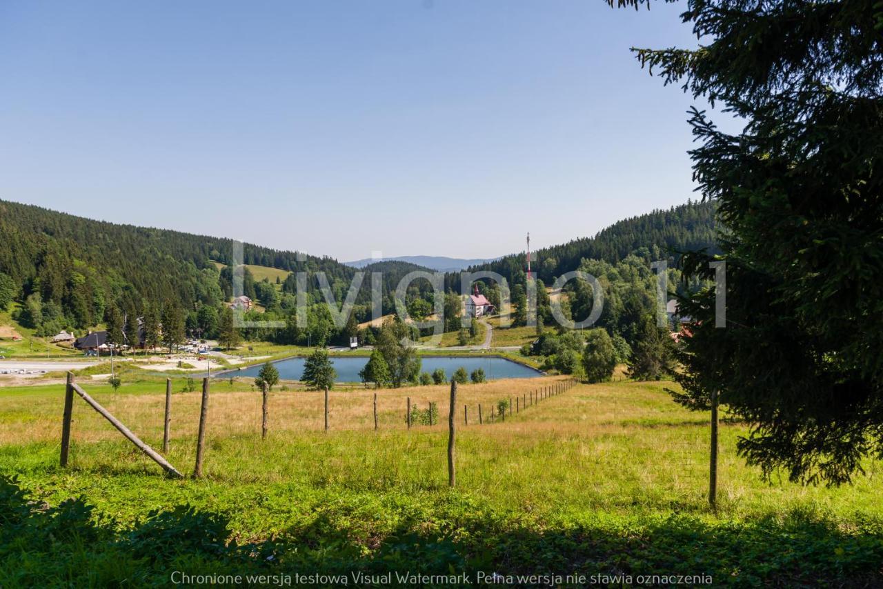 Czarna Gora Sienna Liv * Sienna (Klodzko)